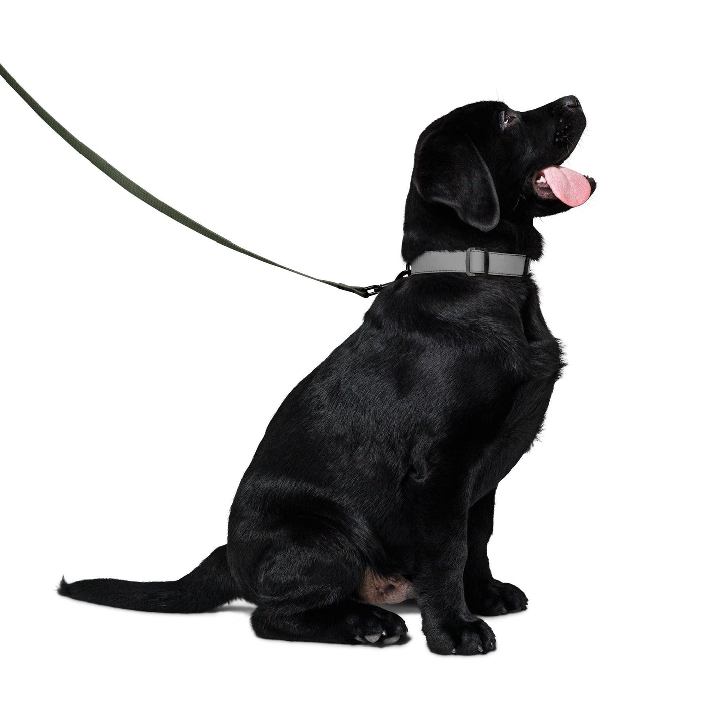 Desert Night Camo Dog leash - Concealing Coloration