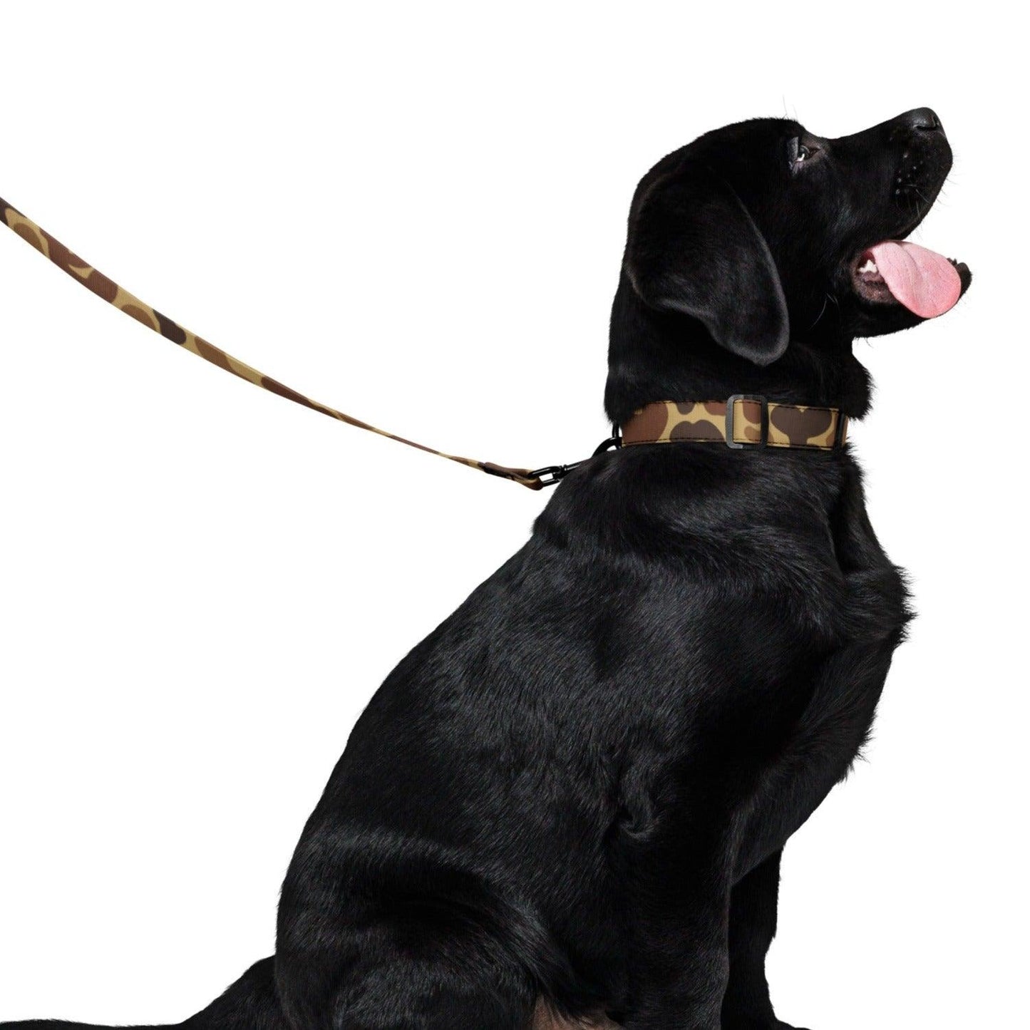 Duck Hunter Camo Dog Collar & Leash Set - Concealing Coloration