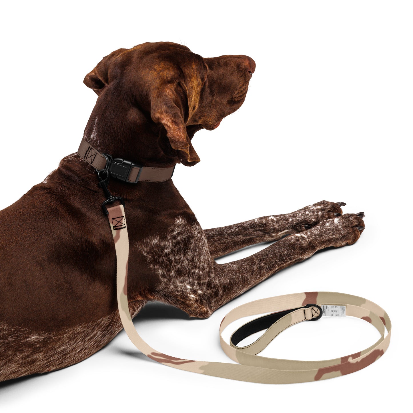 Three-Color Desert camo dog leash — DCU Gulf War pattern, 6 ft woven nylon, padded hand loop, metal clip