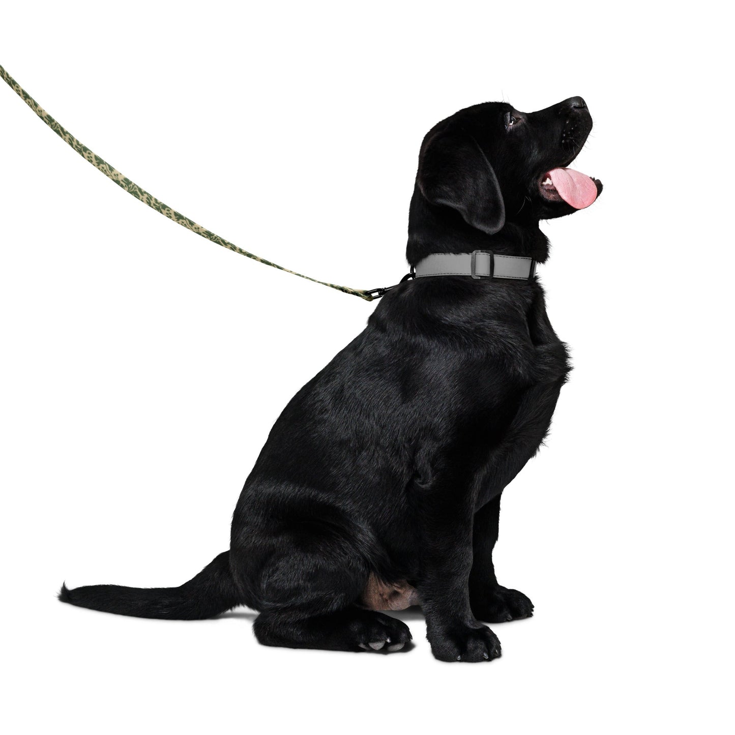 Pietruszka Camo Dog Leash _ Concealing Coloration