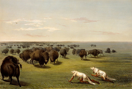 Painting of bison herd on plains with two hunter figures in wolf pelts, American frontier scene