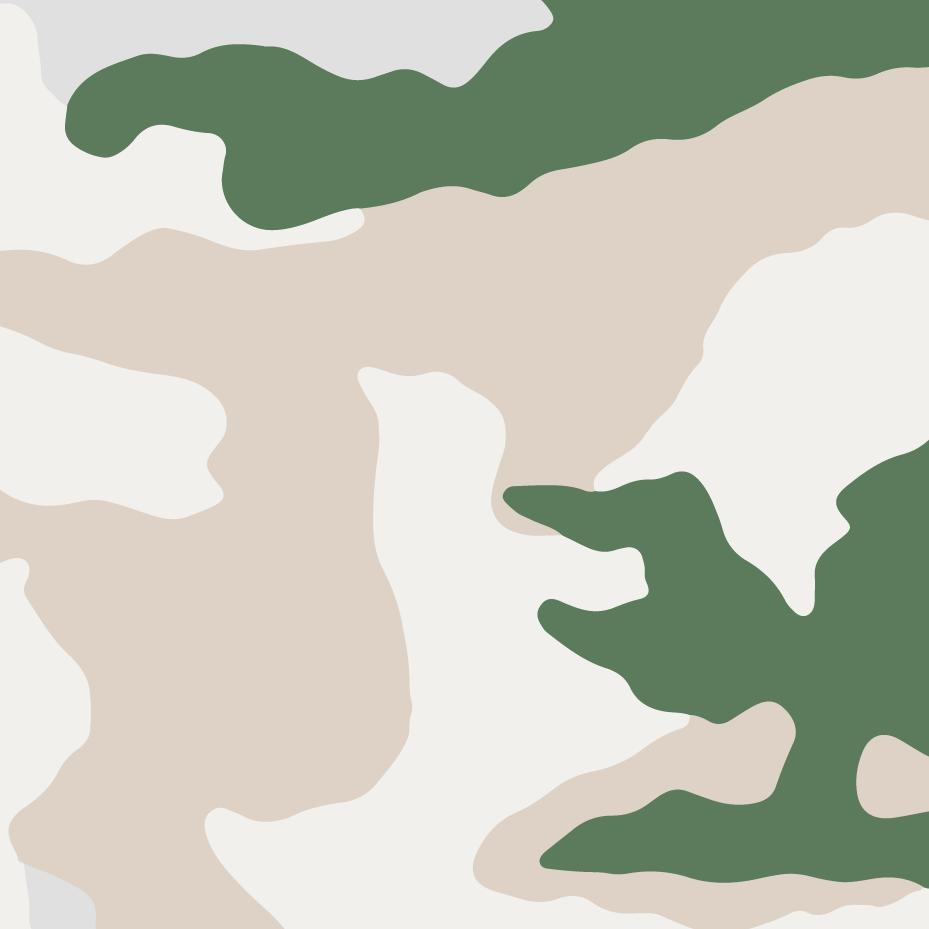 French Tundra Alpine Camouflage Pattern