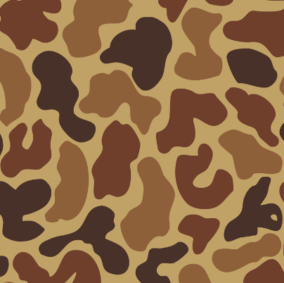 Duck Hunter