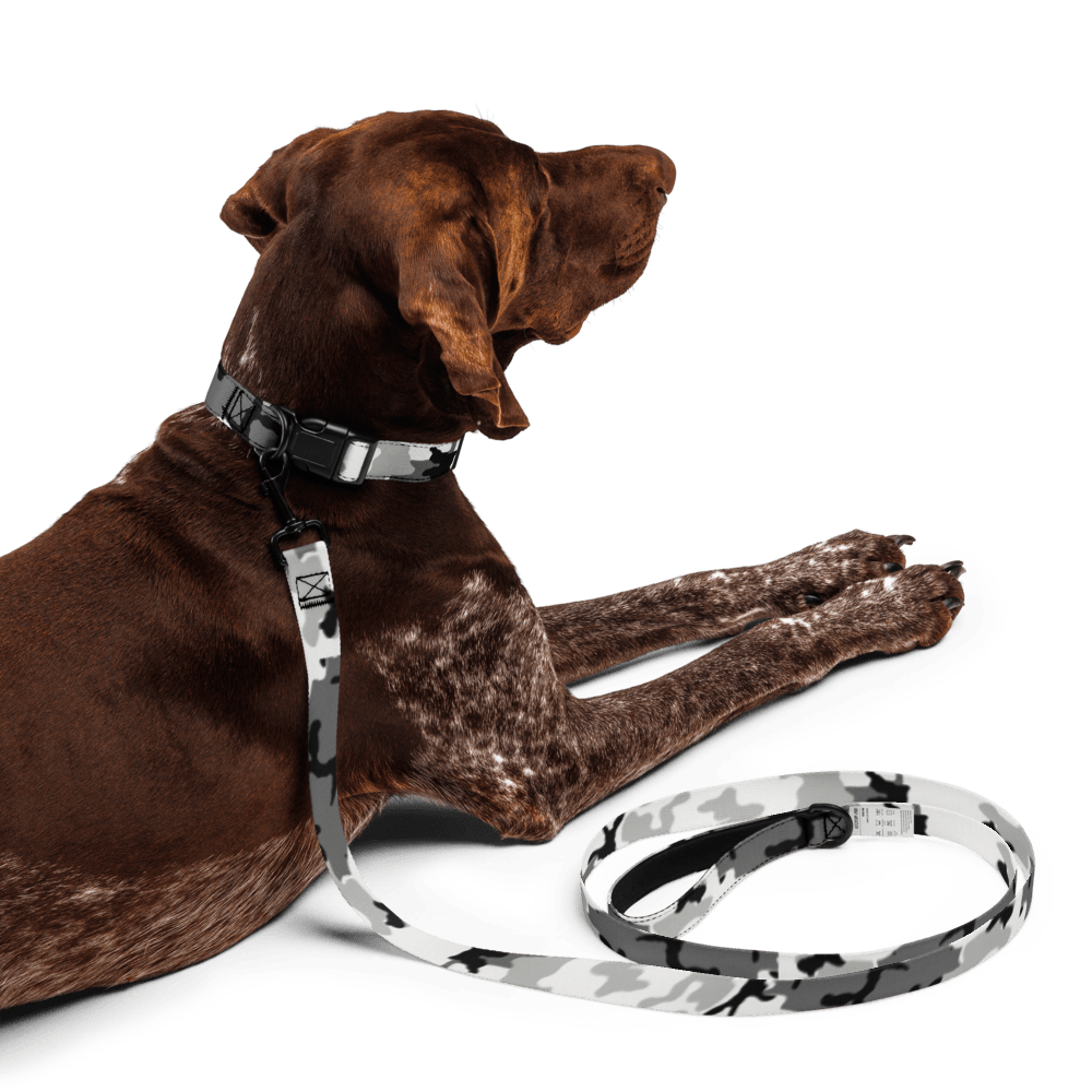 M81 Urban Camo Dog Collar & M81 Urban Camo Leash