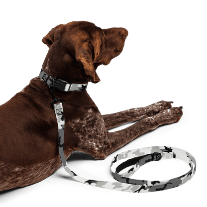 M81 Urban Camo Dog Collar & M81 Urban Camo Leash