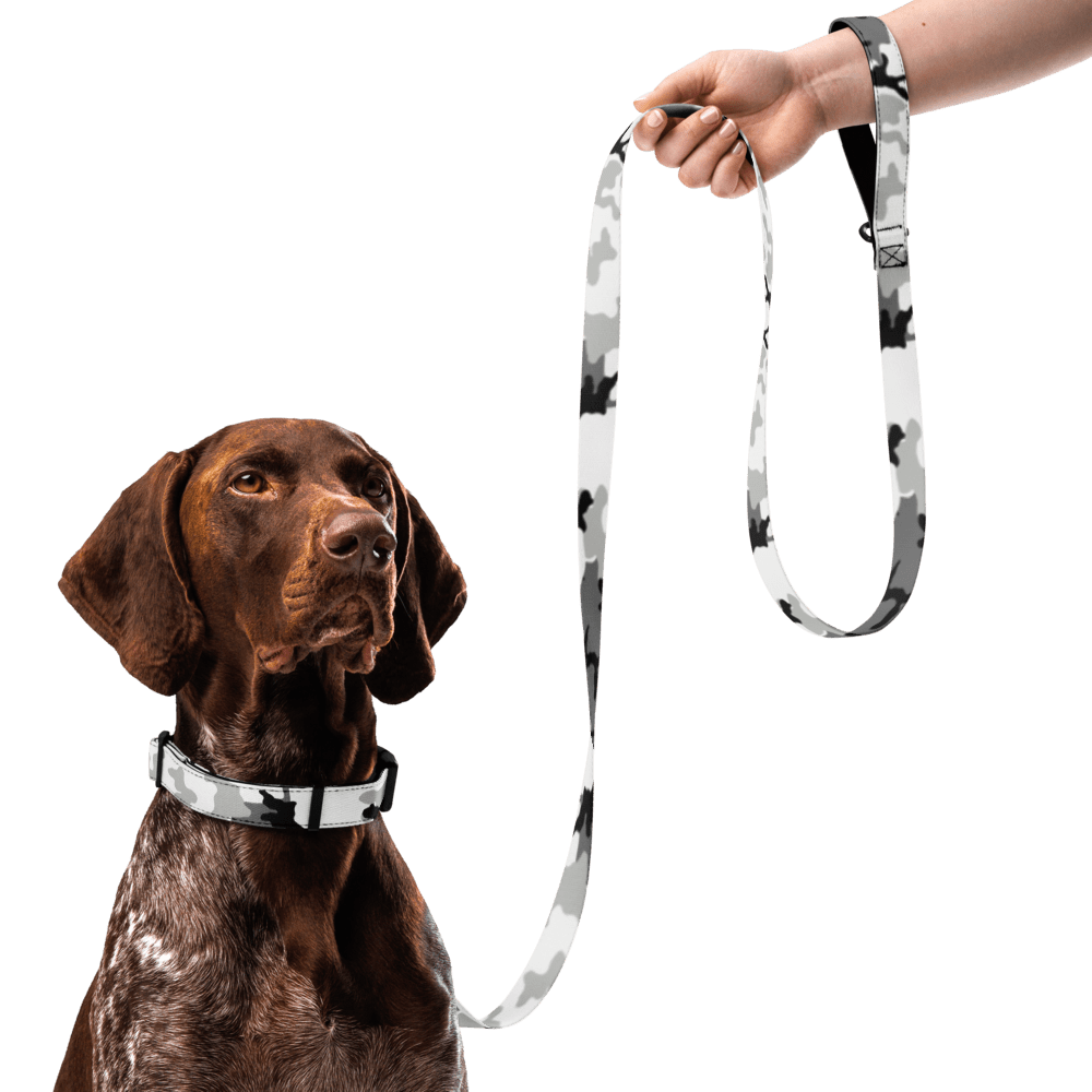 M81 Urban Camo Dog Collar & Leash Set