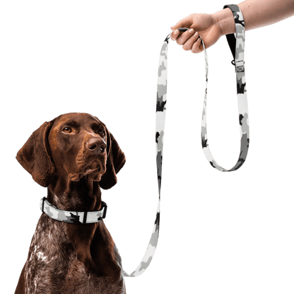 M81 Urban Camo Dog Collar & Leash Set