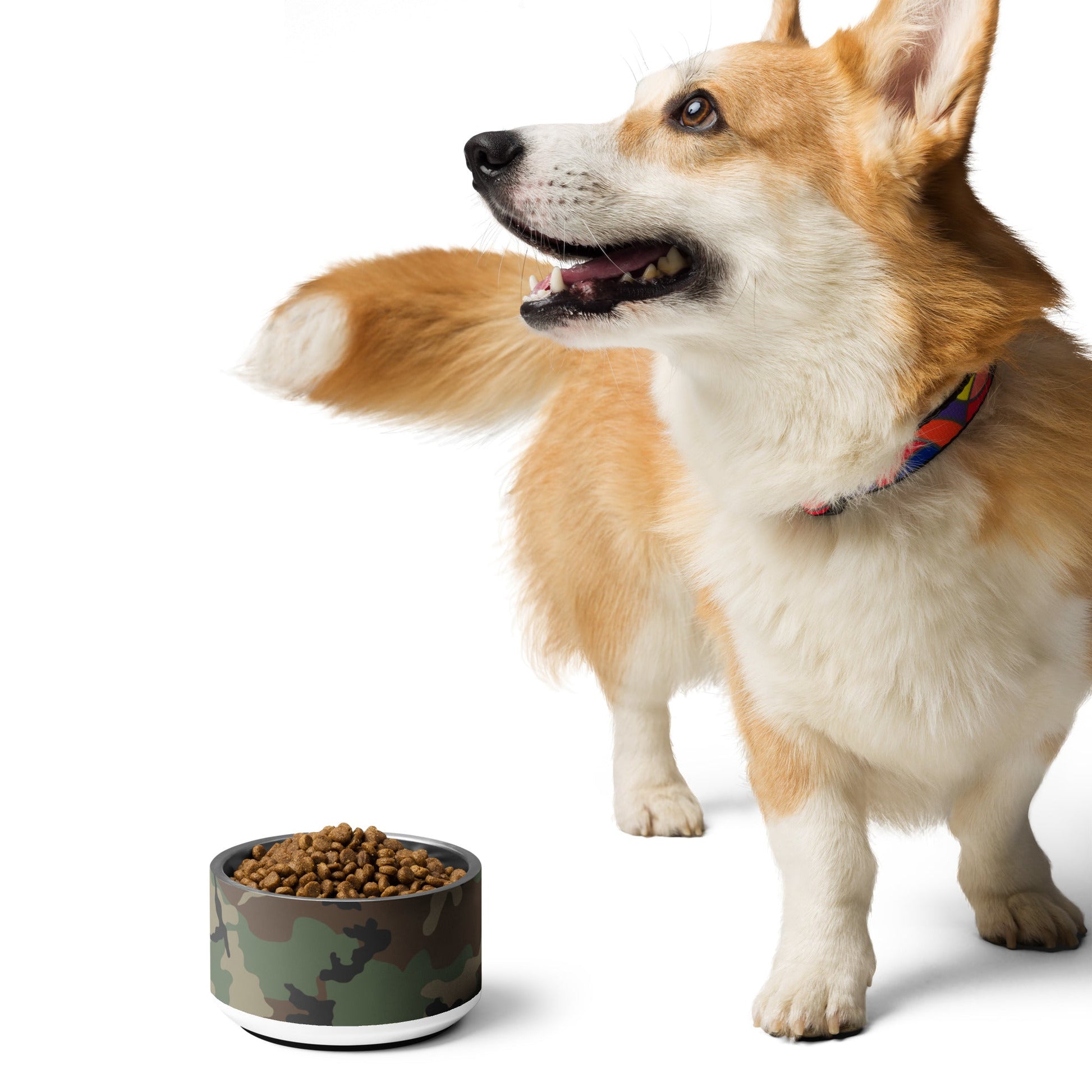 M81 Woodland Camo Pet Bowl 18oz