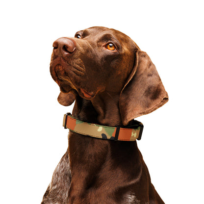 Leibermuster Camo Dog Collar _ Concealing Coloration