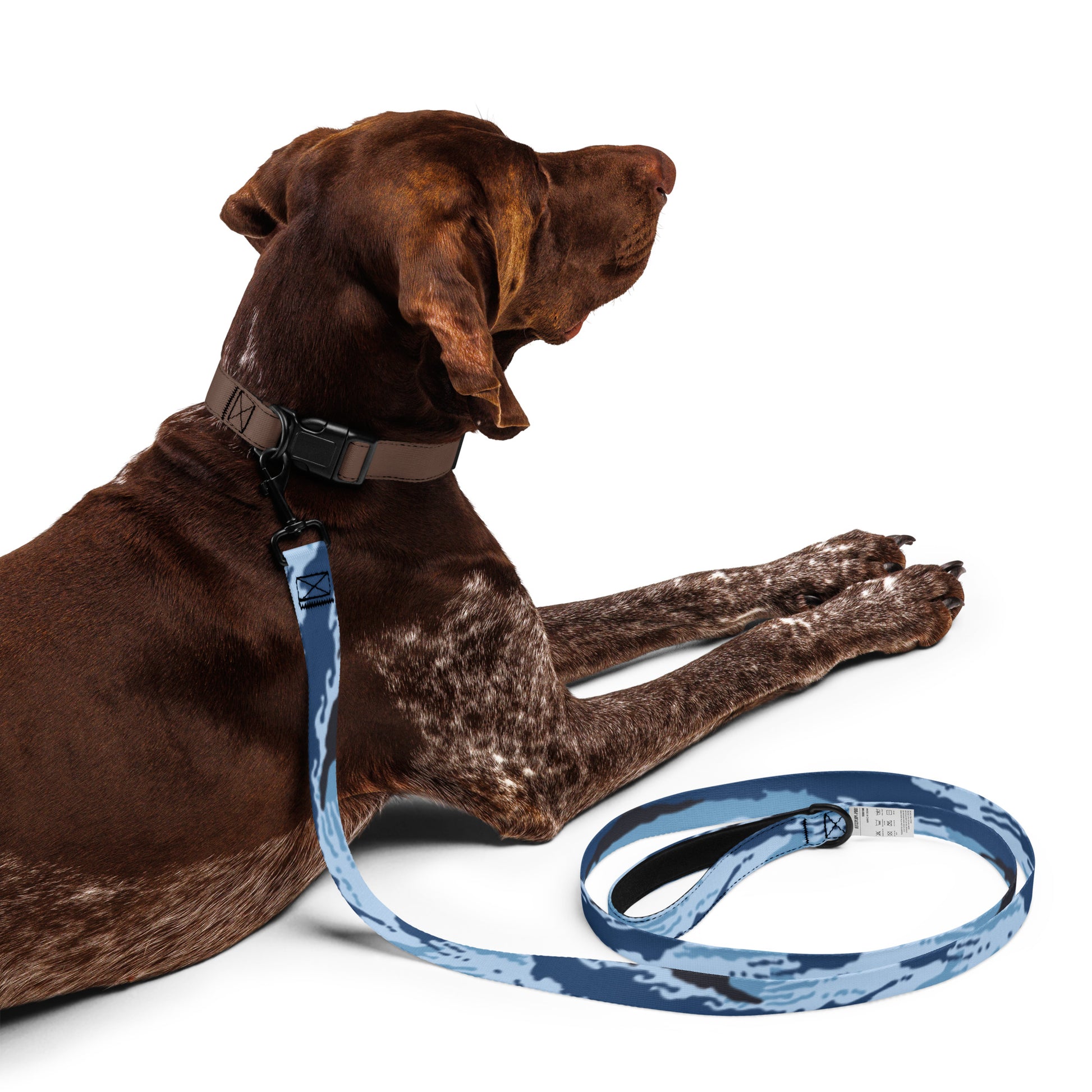 Kamysh Blue Camo Dog Leash - Concealing Coloration