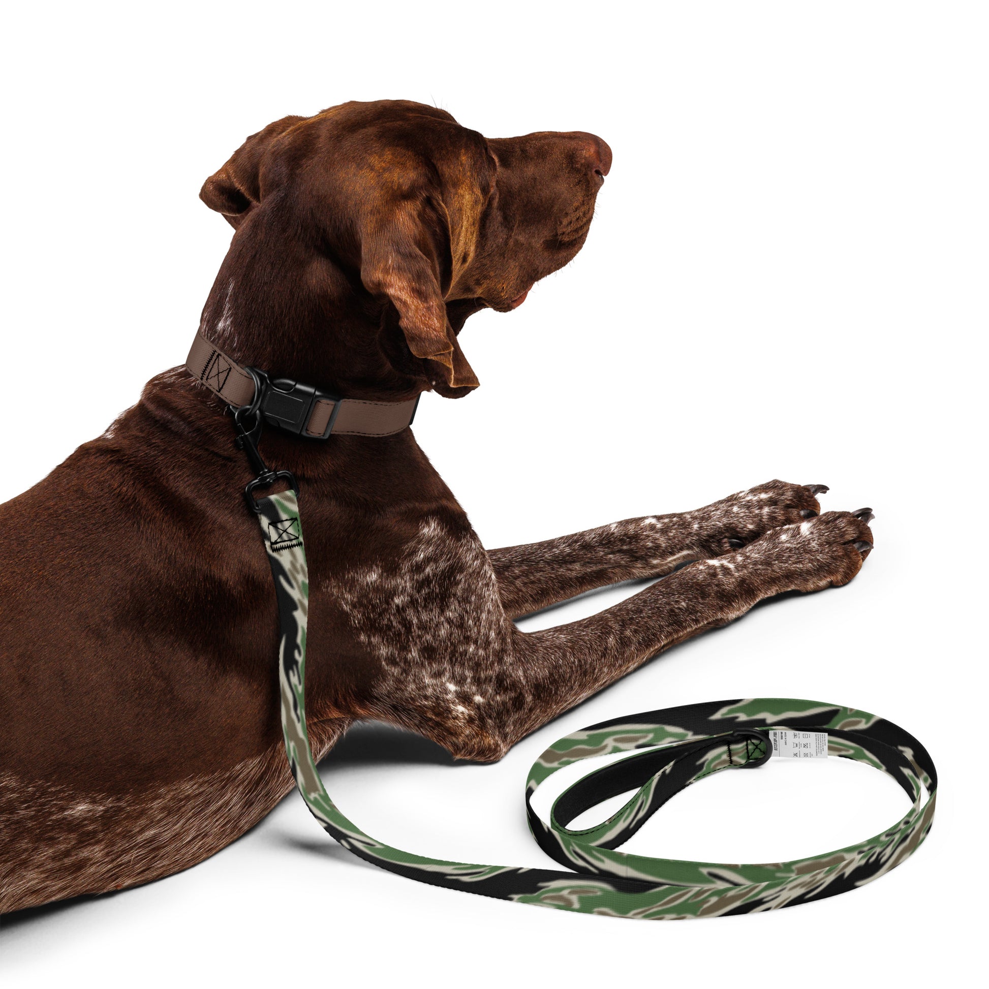 Tiger Stripe LLS Camo Dog Leash _ Concealing Coloration