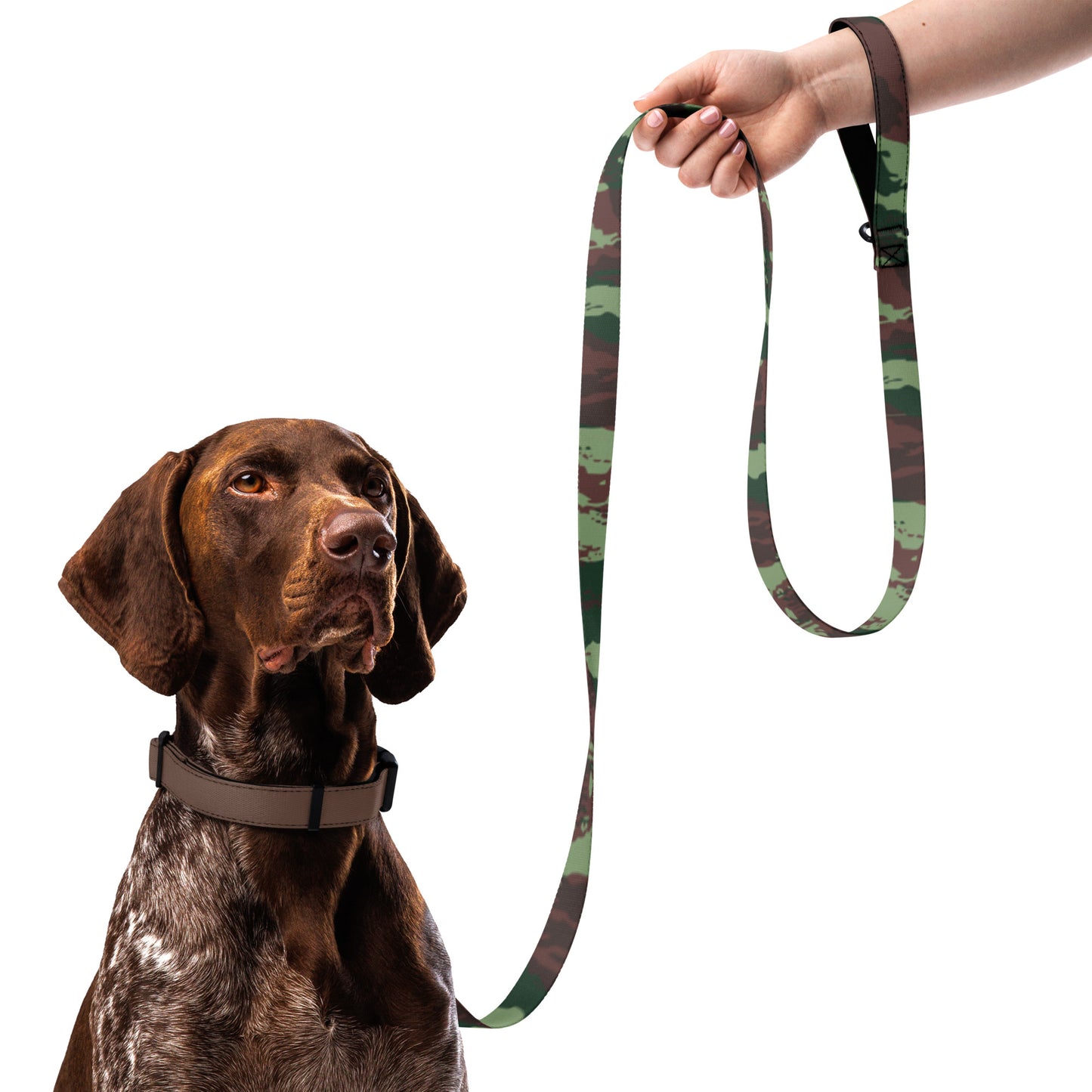 Portuguese Lizard Camo Dog Leash _ Concealing Coloration