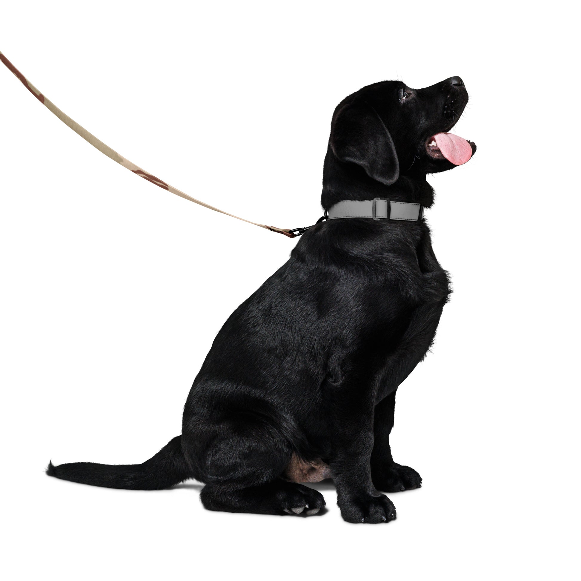 Three-Color Desert camo dog leash — DCU Gulf War pattern, 6 ft woven nylon, padded hand loop, metal clip