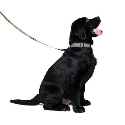 Three-Color Desert camo dog leash — DCU Gulf War pattern, 6 ft woven nylon, padded hand loop, metal clip