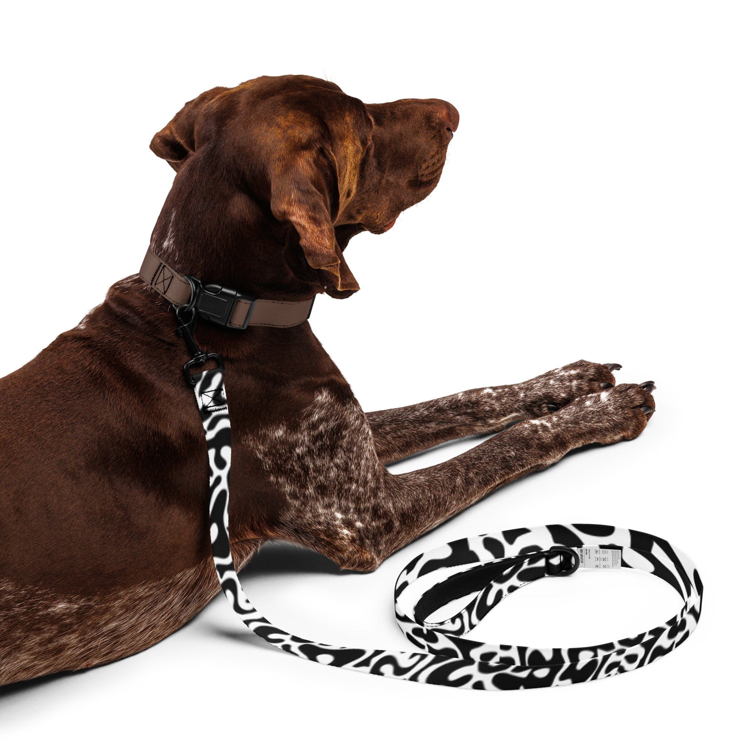 Bacteria Camo Dog Leash _ Concealing Coloration