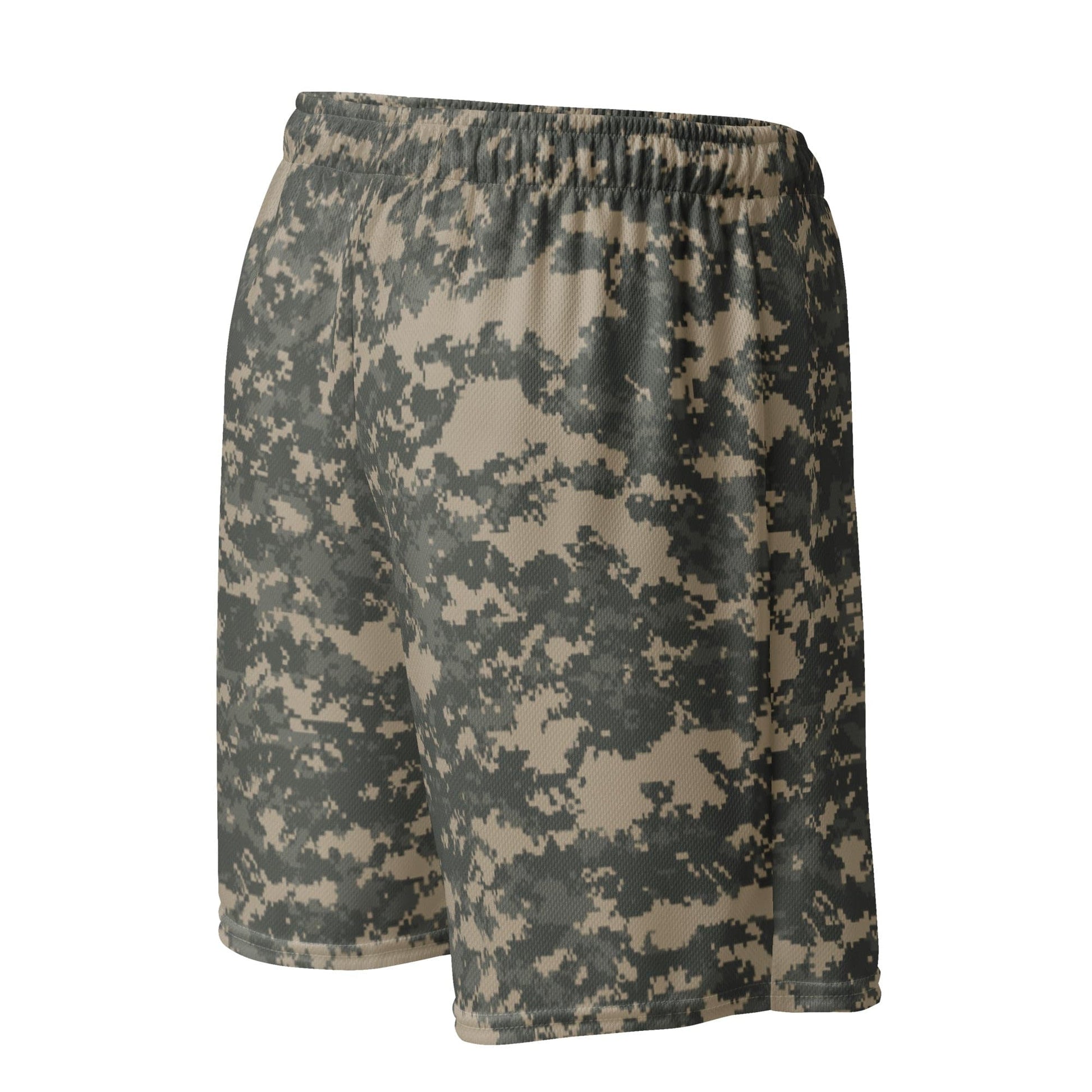 UCP Basketball Shorts _ Concealing Coloration