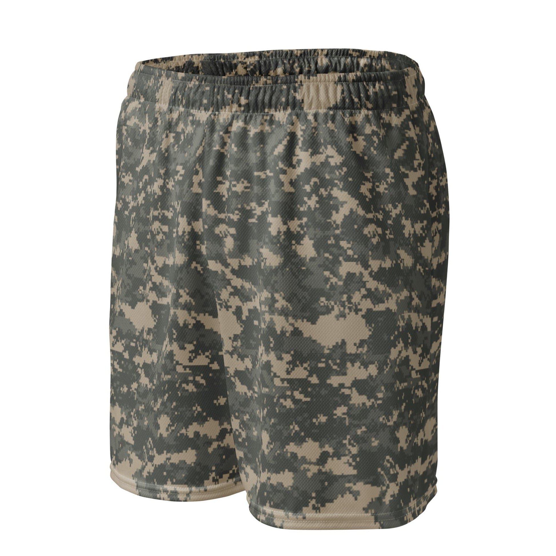 UCP Basketball Shorts _ Concealing Coloration