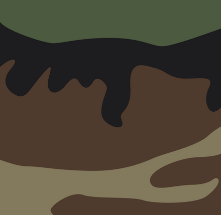 U.S. M81 Woodland